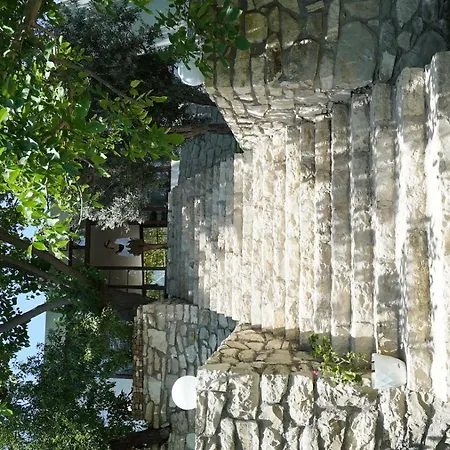 Hotel Muyo House